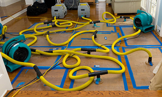 Professional Storm Water Damage Restoration technician working in Hayward, CA